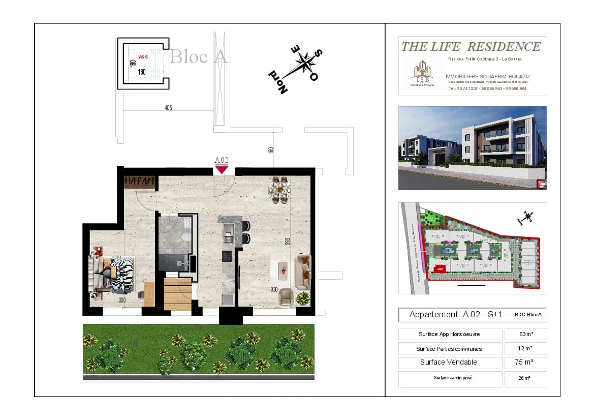 Plan S+1 - Appartement A.02 - RDC Bloc A