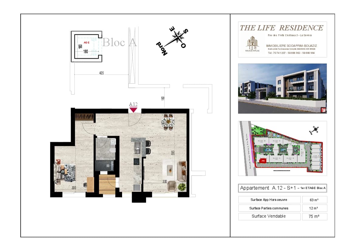 Plan S+1 - Appartement A.12 - 1er étage Bloc A