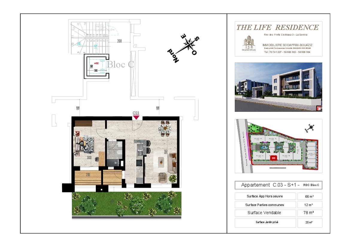Plan S+1 - Appartement C.03 - RDC Bloc C