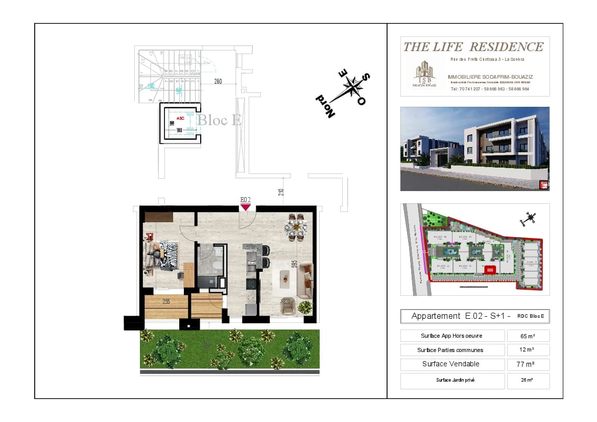 Plan S+1 - Appartement E.02 - RDC Bloc E
