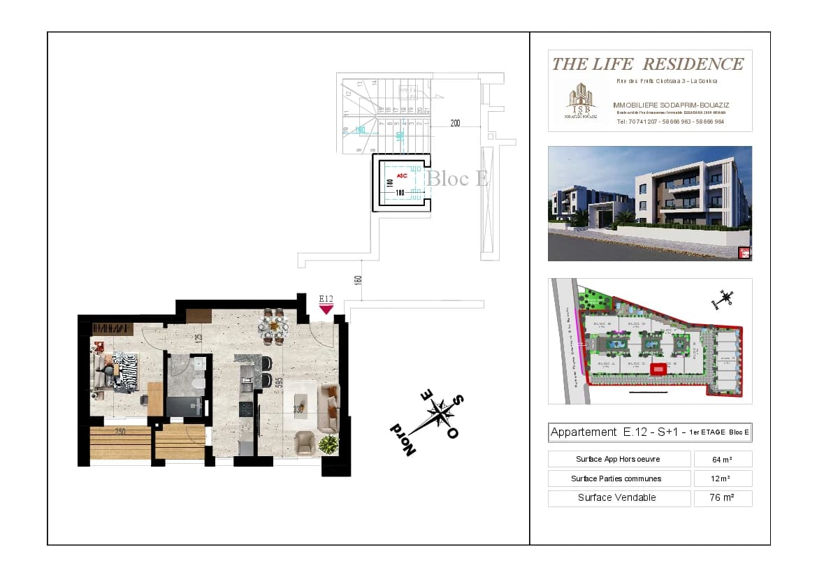 Plan S+1 - Appartement E.12 - 1er étage Bloc E