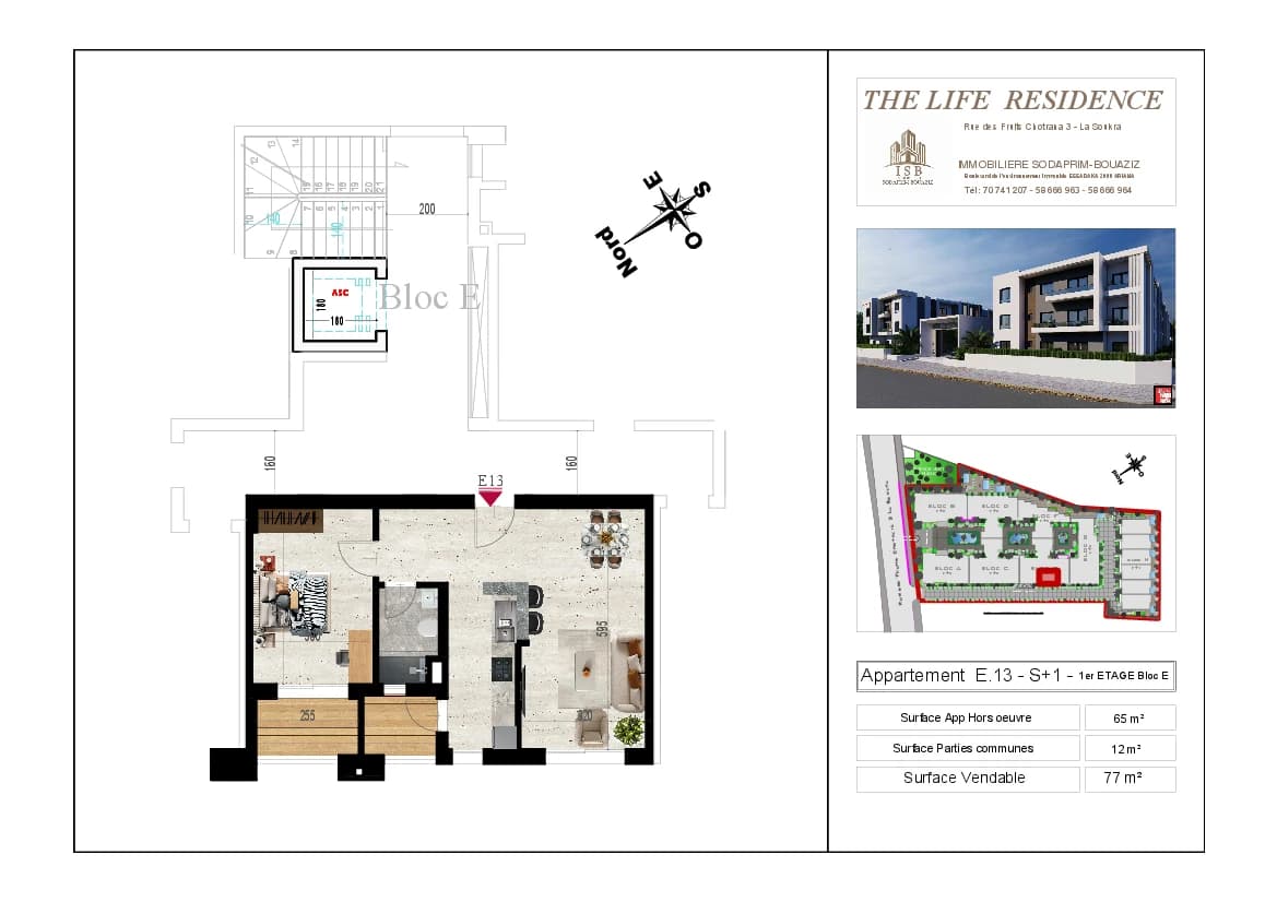 Plan S+1 - Appartement E.13 - 1er étage Bloc E