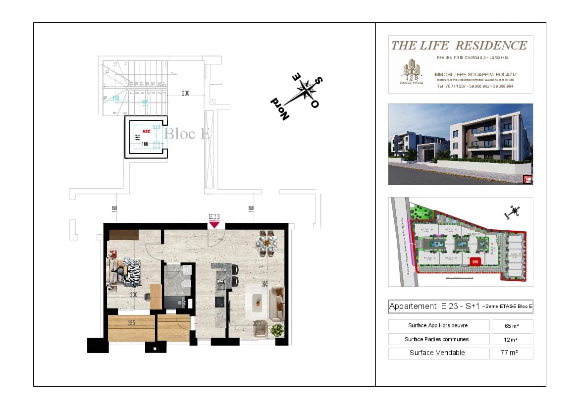 Plan S+1 - Appartement E.23 - 2ème étage Bloc E
