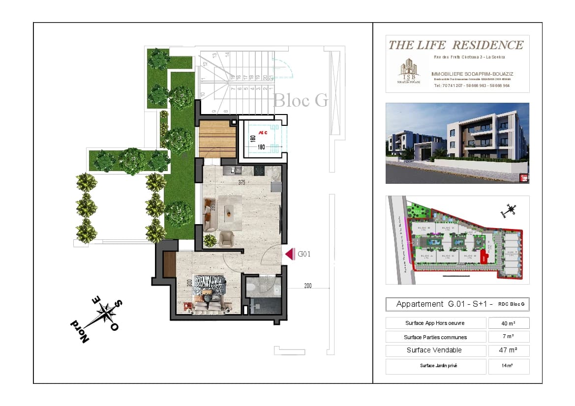 Plan S+1 - Appartement G.01 - RDC Bloc G