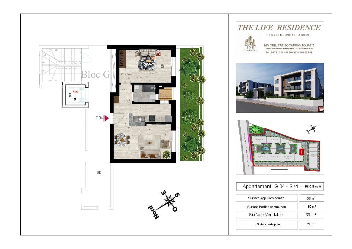 Plan S+1 - Appartement G.04 - RDC Bloc G